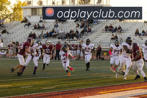 App Interface Preview